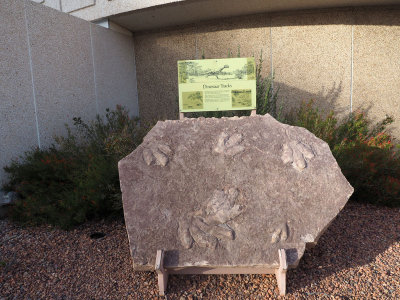 Preserved dinosaur tracks at the Carl Hayden Visitor Center