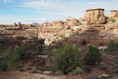 Desert scenery, Canyonlands Needles District