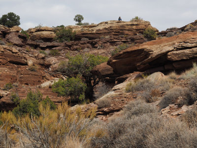 Watching me hike into Big Spring Canyon, Needles District of Canyonland NP