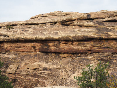 On Slickrock trail, Needles District of Canyonlands NP