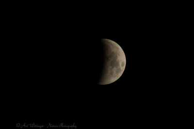 Total Lunar Eclipse 2019
