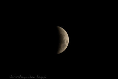 Total Lunar Eclipse 2019