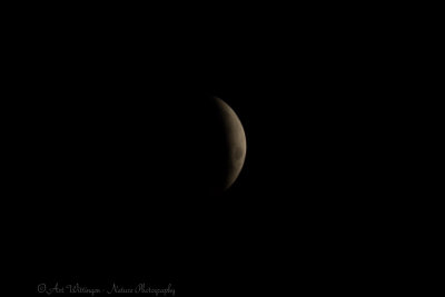 Total Lunar Eclipse 2019