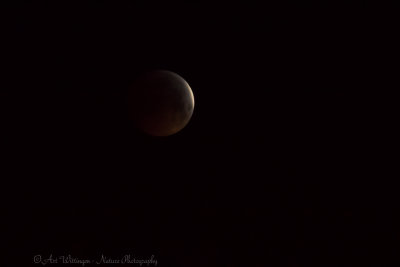 Total Lunar Eclipse 2019