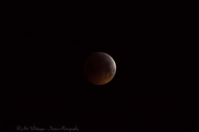 Total Lunar Eclipse 2019
