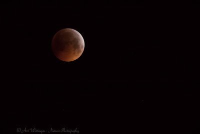Total Lunar Eclipse 2019