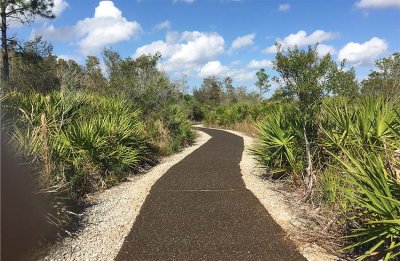 Wild Turkey Strand Preserve, Florida