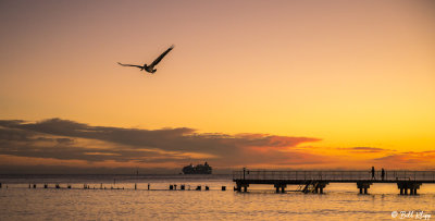 Higgs Beach Sunset  12