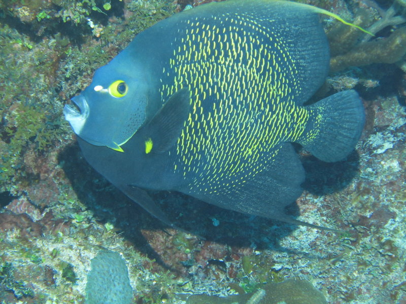 IMG_0156.JPG