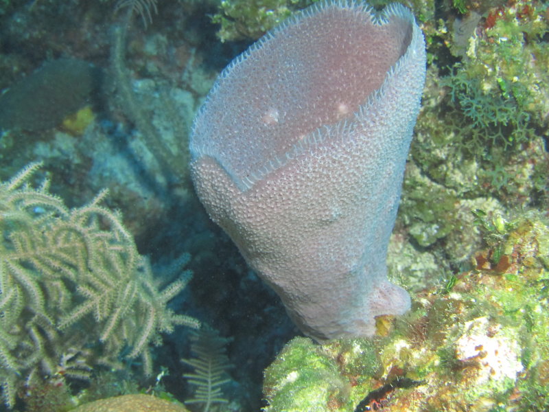 IMG_0024.JPG