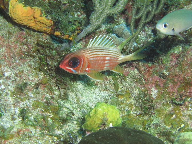 IMG_0084.JPG