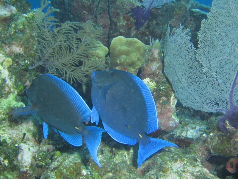 IMG_0091.JPG