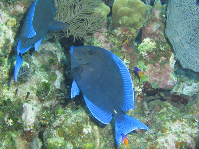 IMG_0092.JPG