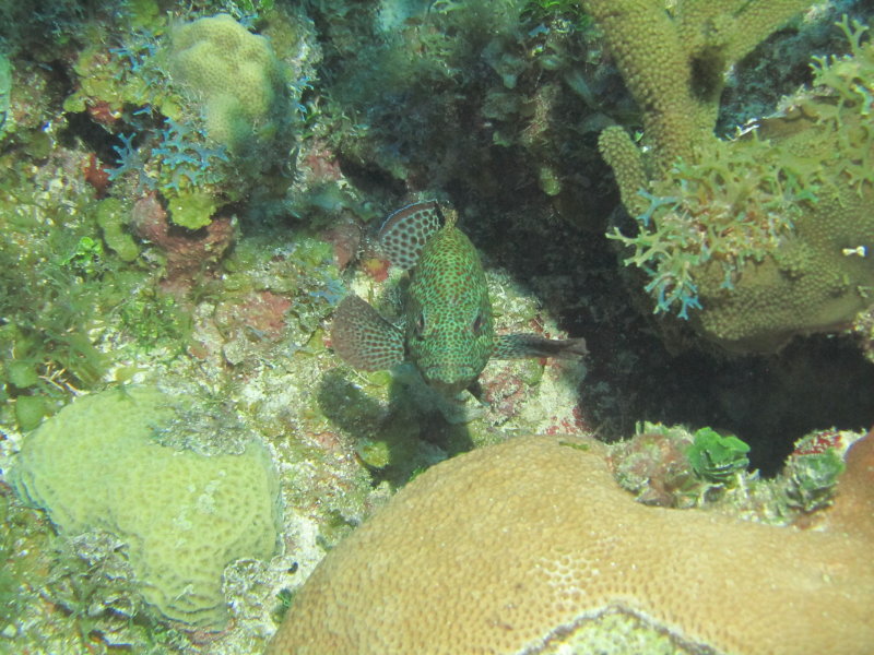 IMG_0152.JPG