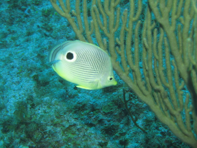 IMG_0002.JPG