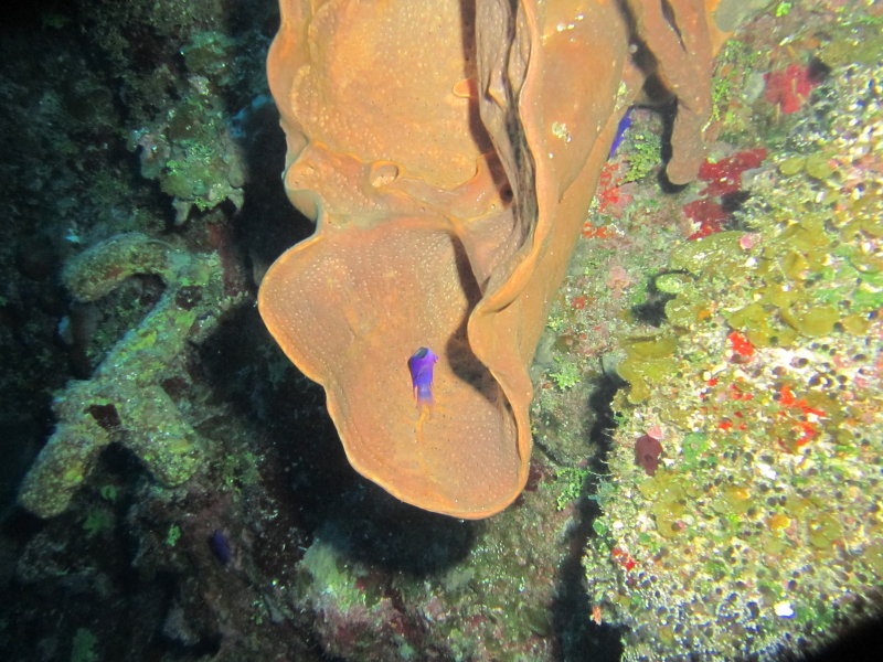 IMG_0021.JPG
