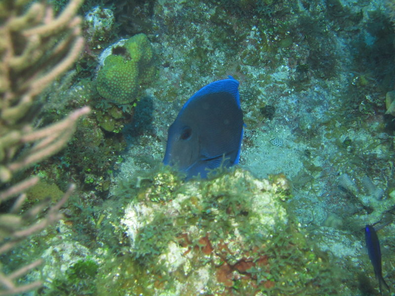 IMG_0060.JPG