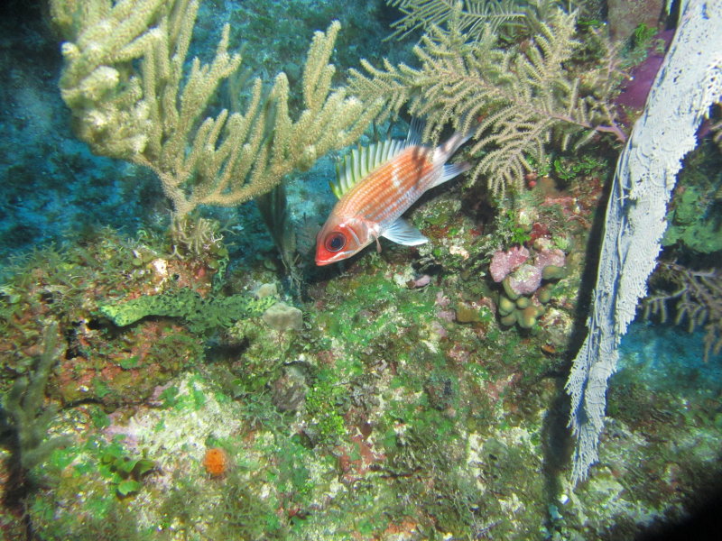 IMG_0071.JPG