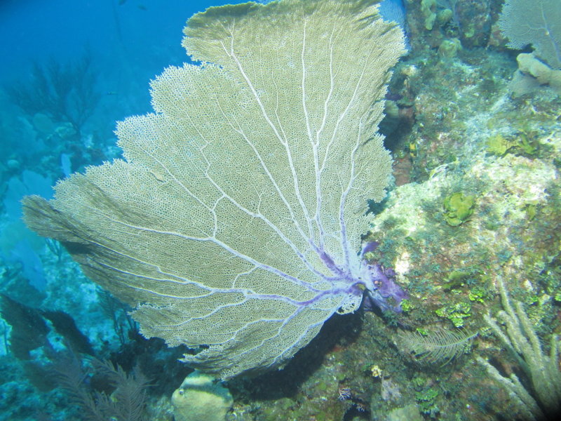 IMG_0154.JPG