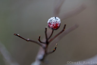 _5D33475.jpg
