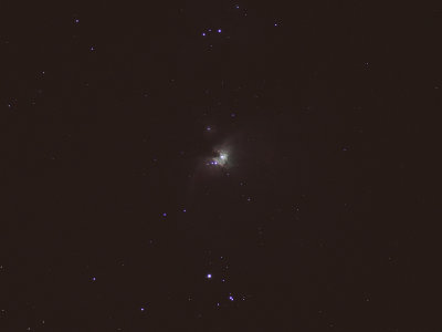 M42 - had several kids take pictures.