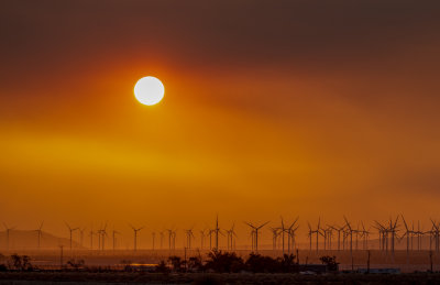Sunset with Windmills.jpg