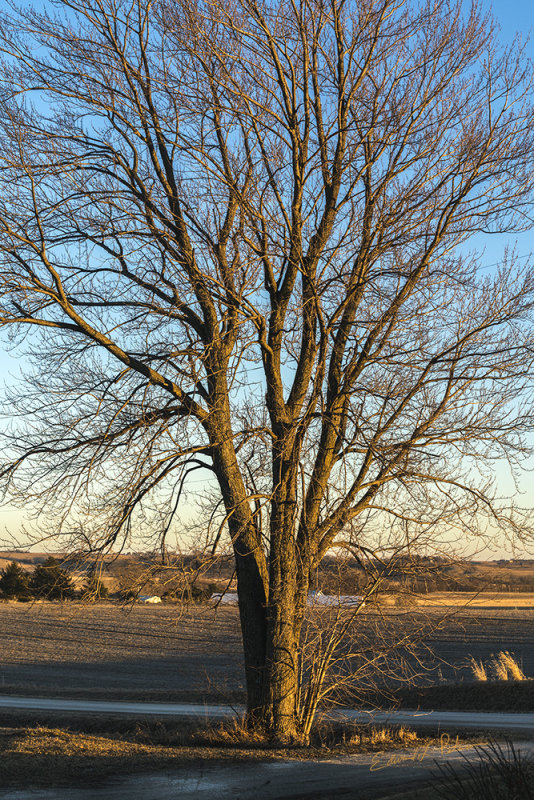 Once winter arrives the landscape becomes more visible as the trees become bare of their foliage.

An image may be purchased at http://edward-peterson.pixels.com/featured/tree-edward-peterson.html?newartwork=true