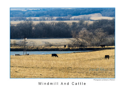 A drive in the Iowa countryside reveals last seasons crops supporting next seasons cattle herd. The windmill may be out of action but it gives a hint of what the past was like.

An image may be purchased at http://edward-peterson.pixels.com/featured/windmill-and-cattle-edward-peterson.html?newartwork=true