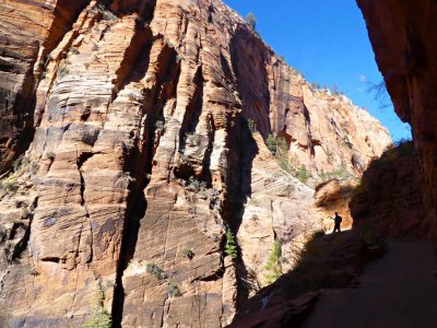 Hike to Angels Landing 