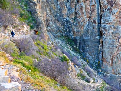 Bright Angel Trail