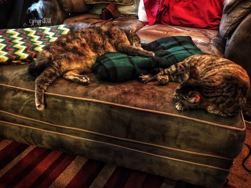 Jenny & Gracie