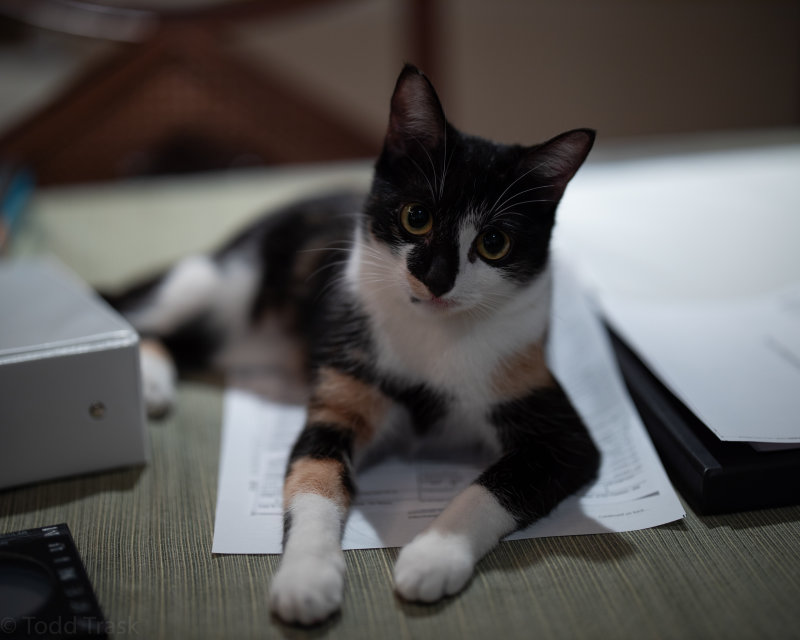 72284252lucy0119.jpg