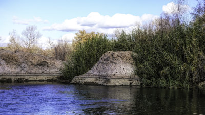 Salt River Shoreline