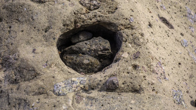 Don't Reach In That Hole!