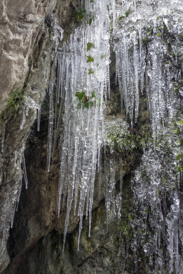 Gorges du Taubenloch