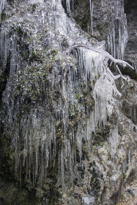 Gorges du Taubenloch