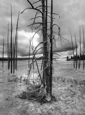 Yellowstone NP