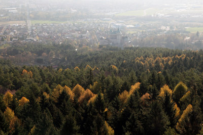 View from Look-Out5