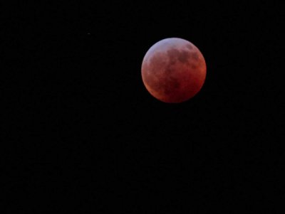 Blood moon lunar eclipse IMG_1827.jpg