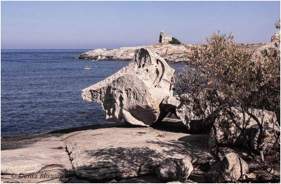 Carte postale de voyage: Punta Caldano, Corse.