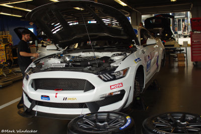 Multimatic Motorsports Ford Mustang GT4