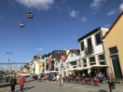 IMG_2255.jpg