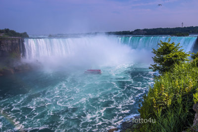 DSC_6707.jpg
