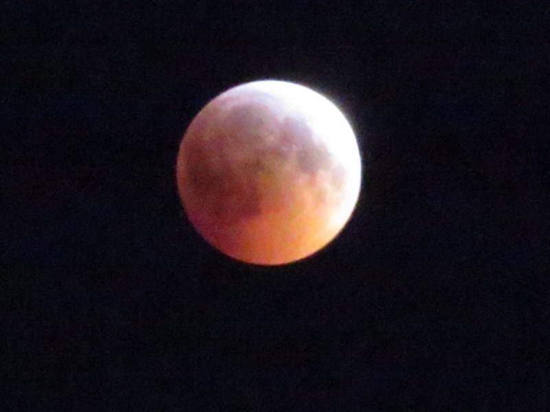 Lunar_Eclipse_2019 1.JPG