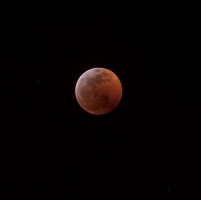The Super Blood Wolf Moon