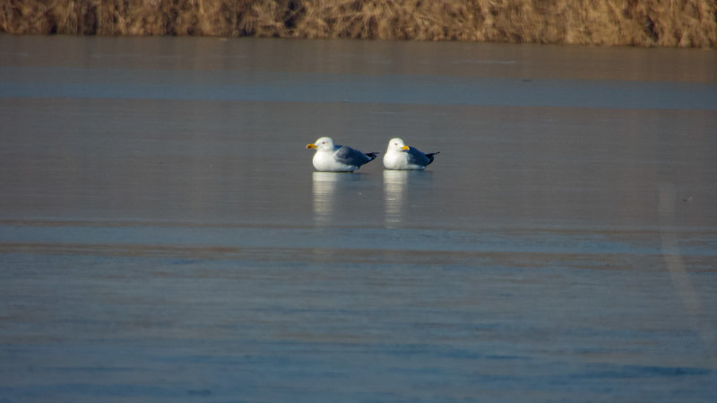 DSCN4196.jpg