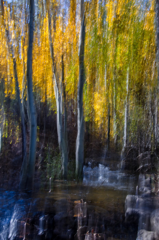 DSC_4569a.jpg