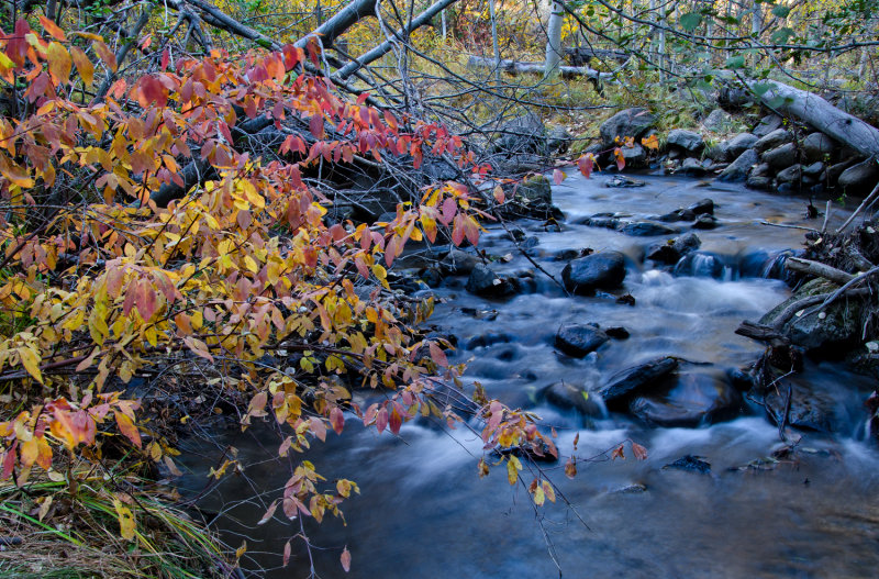 DSC_4669a.jpg