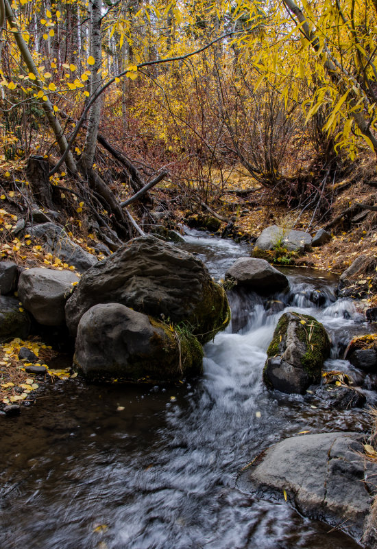 DSC_4879a.jpg