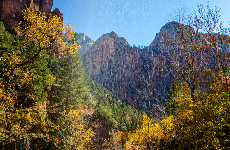 DSC_5295a.jpg